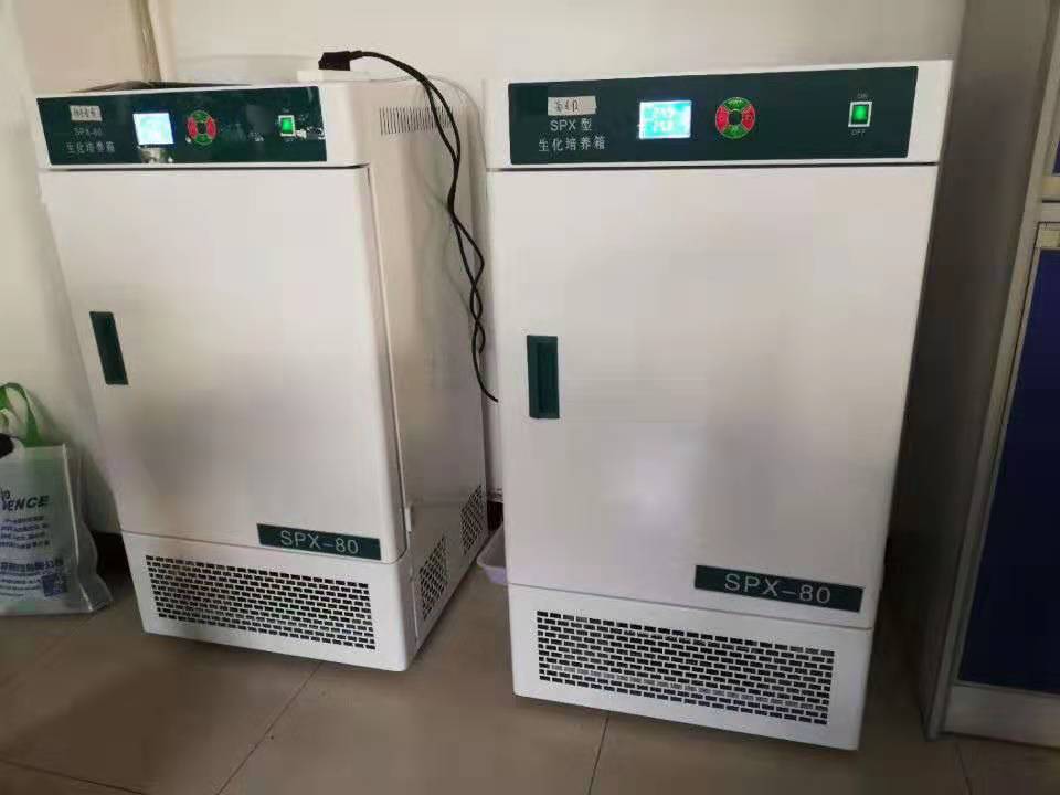 一定温度生化学的インキュベーター
