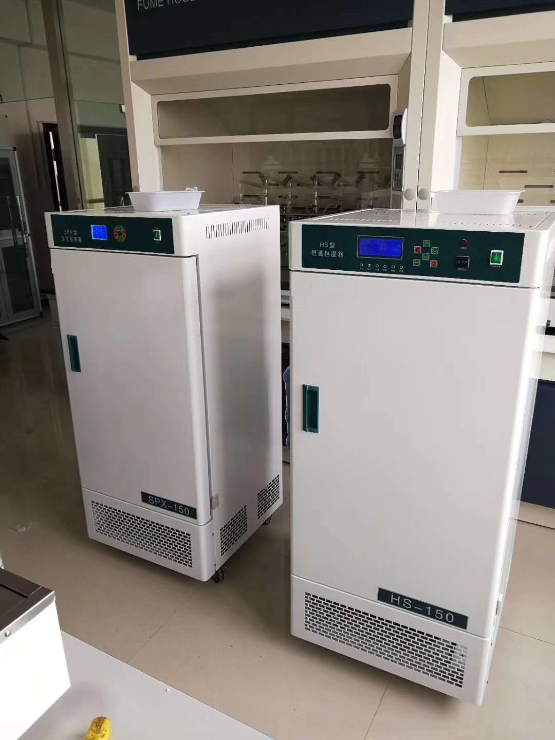 一定の温度と湿度のインキュベーター