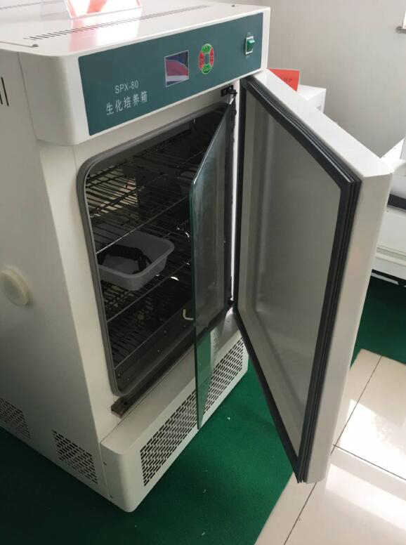 実験室の生化学的インキュベーター